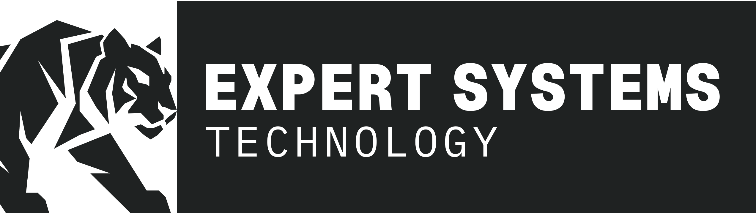 Expert Systems Technology