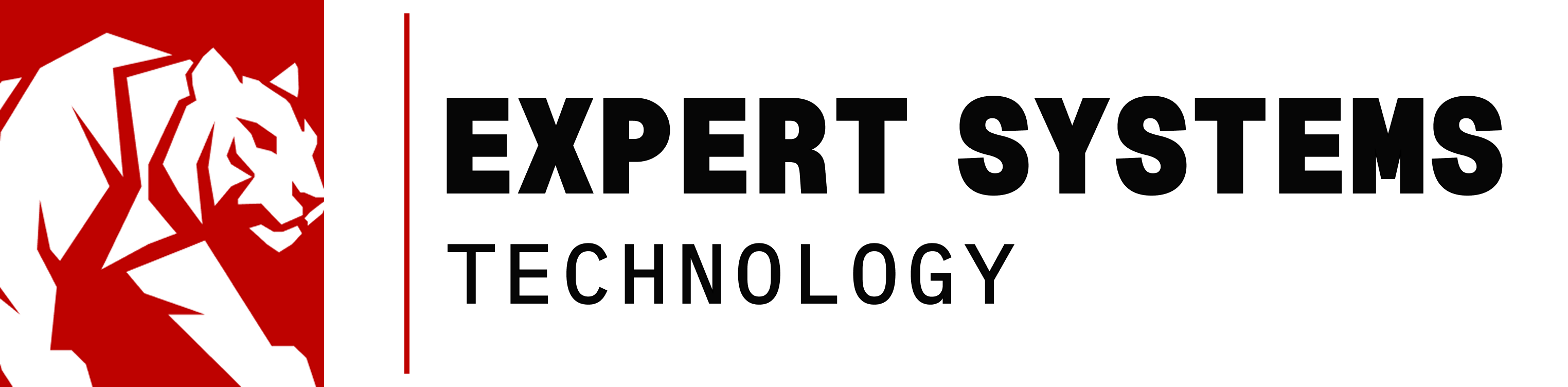 Expert Systems Technology